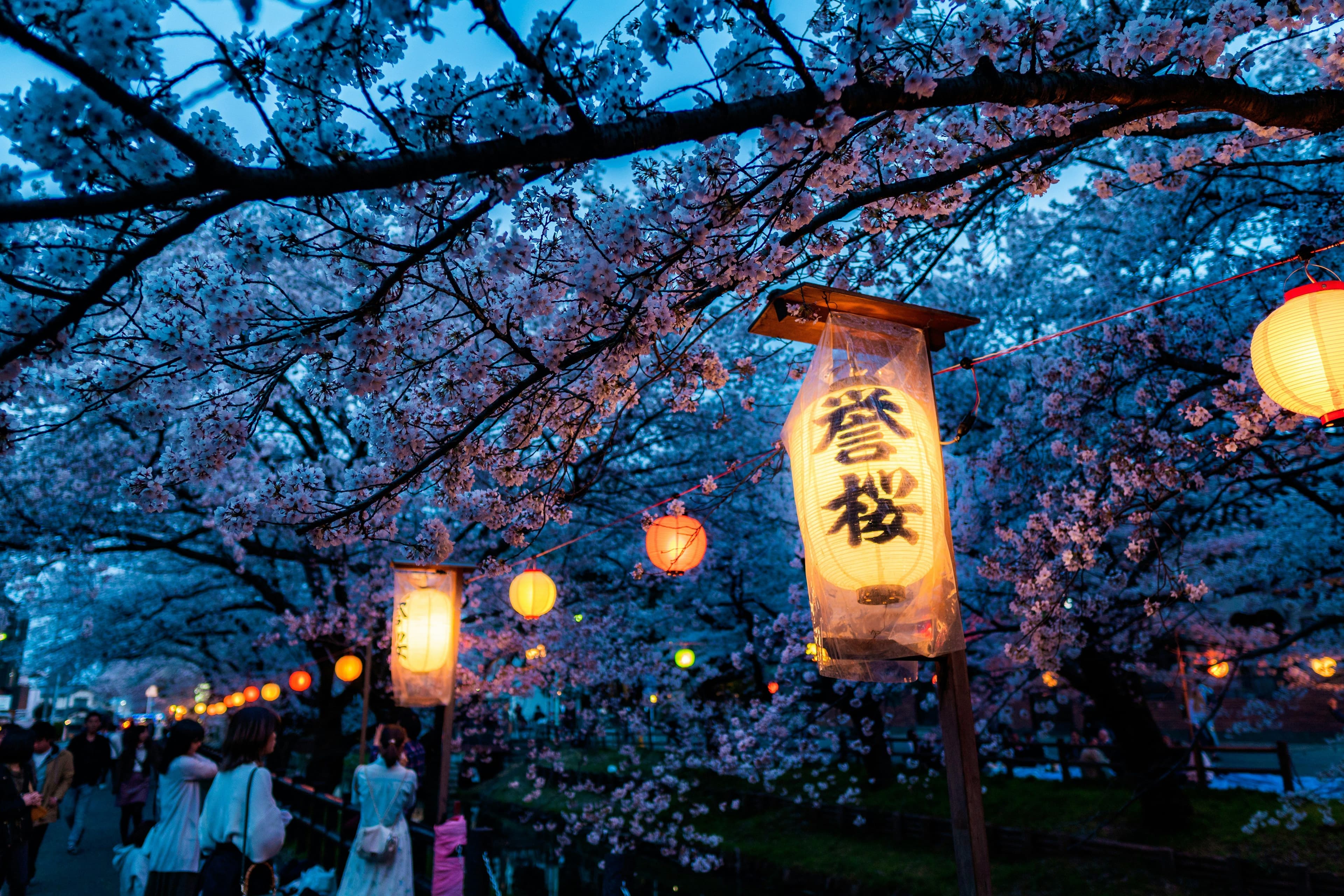 A brightly lit train car travels down a dimly lit urban street lined with traditional Japanese buildings.